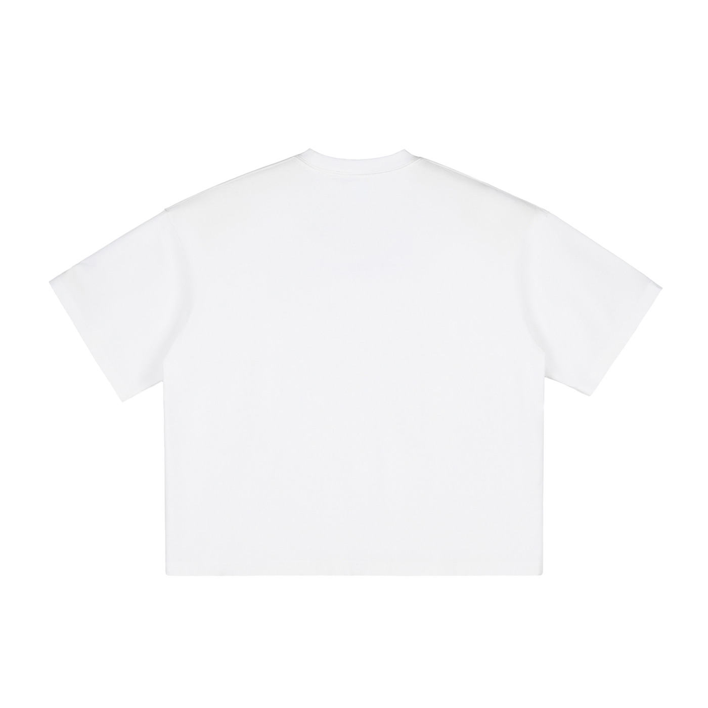PARIS- Vintage Washed Boxy T-Shirt
