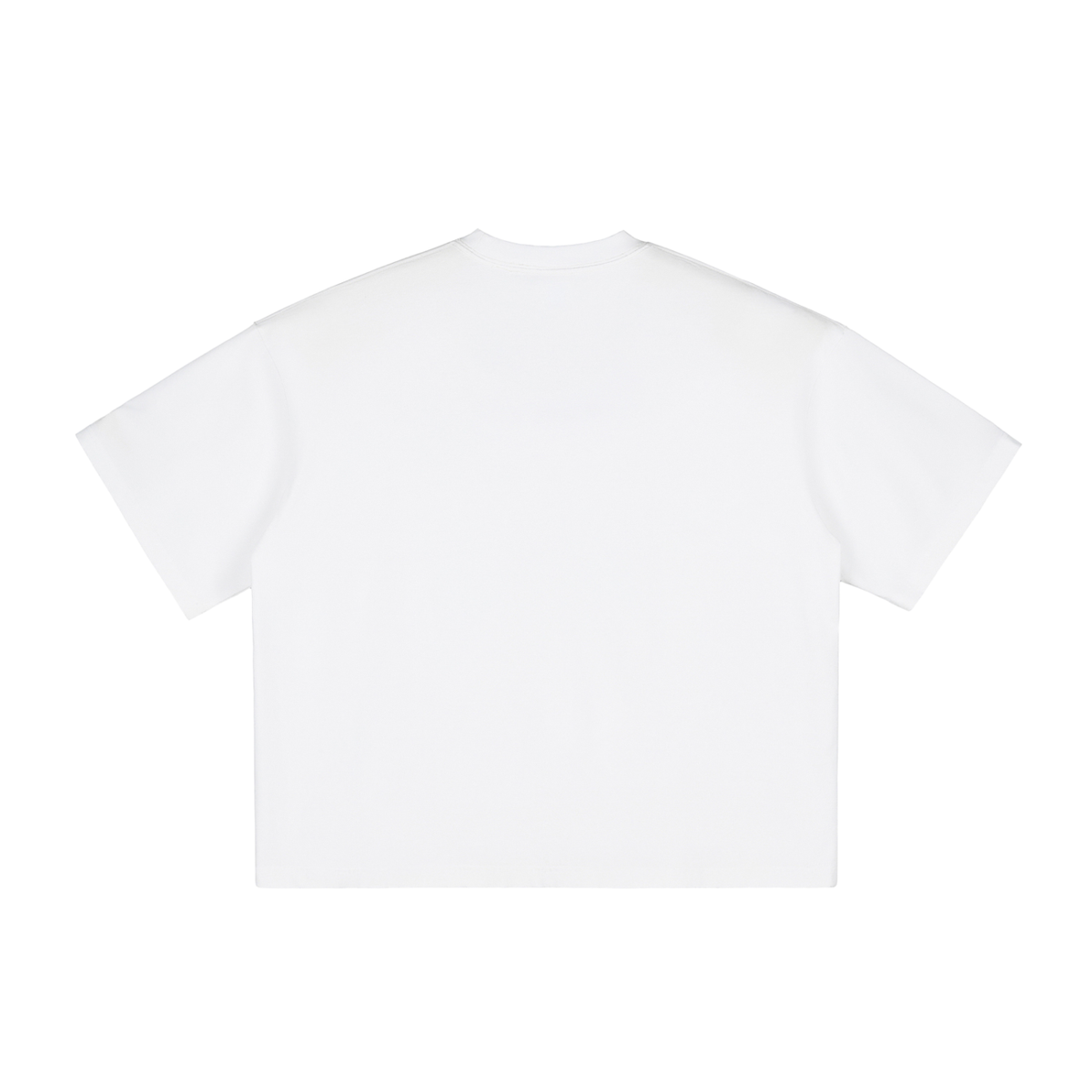 PARIS- Vintage Washed Boxy T-Shirt