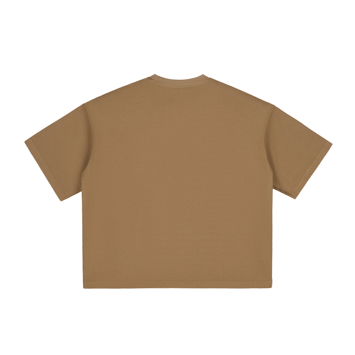 PARIS- Vintage Washed Boxy T-Shirt