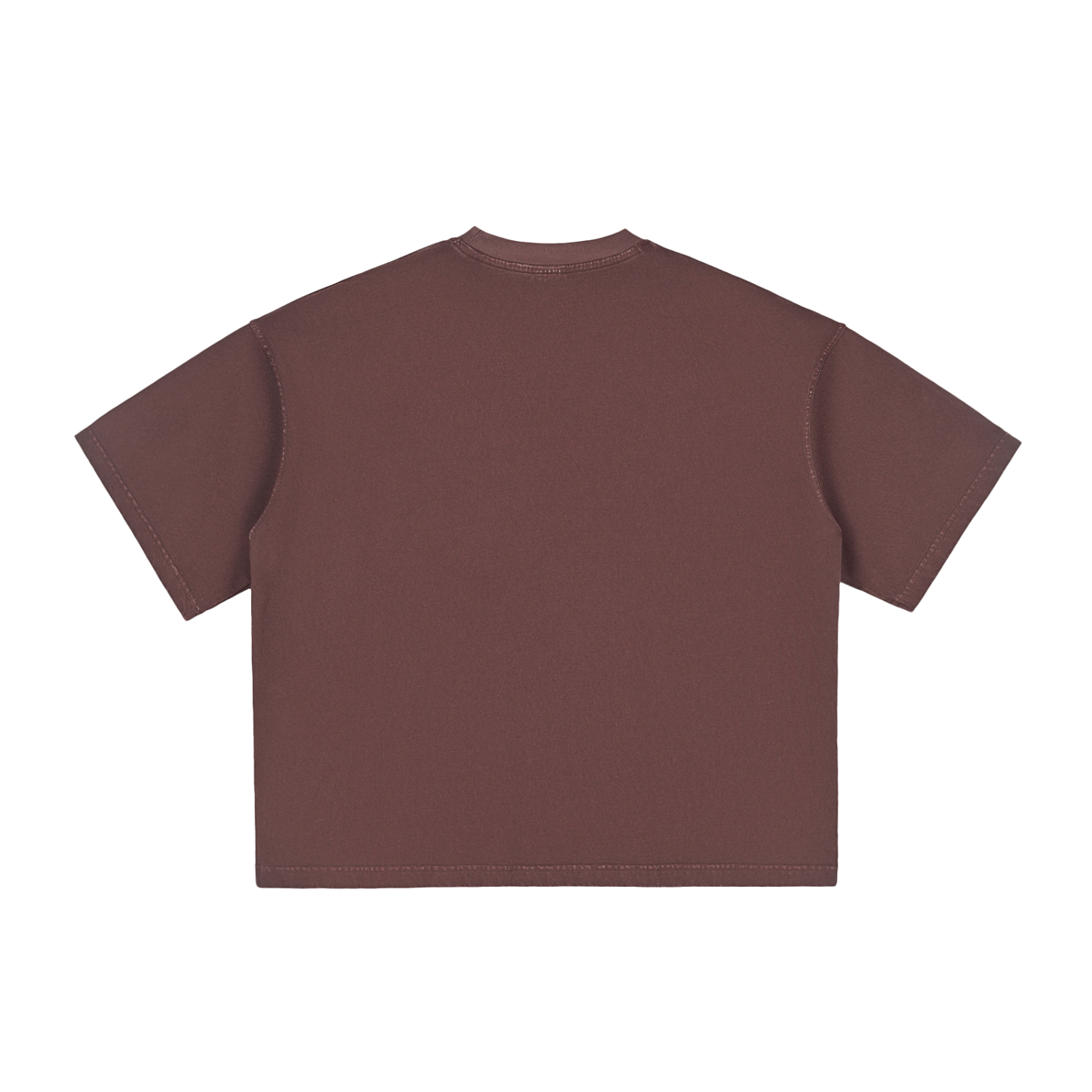 PARIS- Vintage Washed Boxy T-Shirt