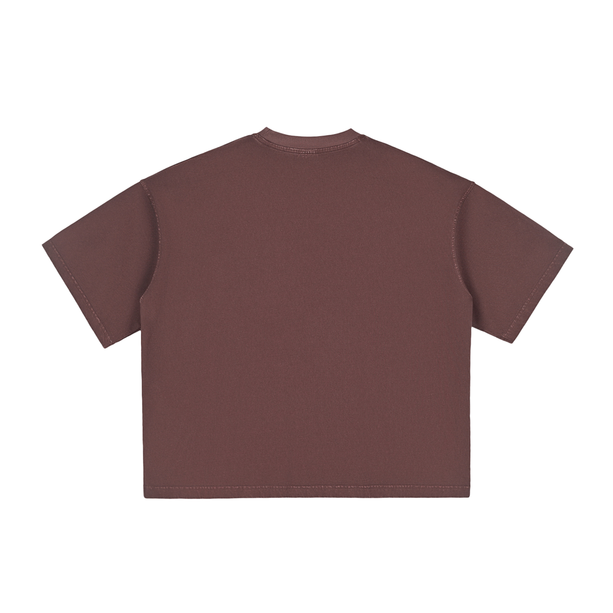 PARIS- Vintage Washed Boxy T-Shirt